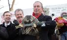 Mayor Bloomberg is Scared of STATEN ISLAND CHUCK!: Gothamist