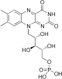 In oxidative phosphorylation
