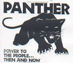N' Politics: Black Panther