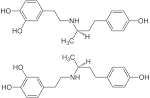 File:(±)-<b>Dobutamine</b>