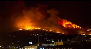 Grave incendio forestal en Mijas.  Images?q=tbn:ANd9GcSppkk40x_5t9vWPvESuxxk6lV2hGlJnMKdsIwXWKAC93TkBG8u