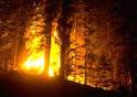 Power Line Sparks Likely Caused Most Destructive Wildfire in Texas ...