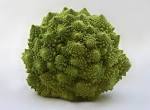 File:Romanesco <b>Brassica</b>
