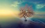 Golden Dream Desktop Pc And Mac - 1680x1050px HD Wallpaper #14535 ...
