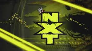 WWE New 15/11/10 Images?q=tbn:ANd9GcSwhs3vCPtj3--6Iutr7FOto3HVKP8er4ckYCmqEfbWYhixFARv