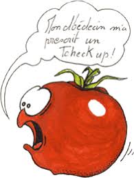 les plants de tomates de papybl - Page 2 Images?q=tbn:ANd9GcSwmtOgKtfMgGd4u_U4bJ4XPCs_guXgmplj2WOlqtysuM9bJsSx