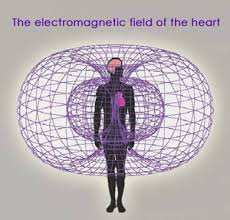 The human heart creates an The human heart creates an