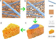 Novel multifunctional cheese-like 3D carbon-BN as a highly ...