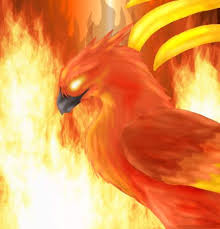 Birds of Fire (Pick 'n' Play) Be active! Images?q=tbn:ANd9GcT-3H7qMuQ_0-uOHFhdtOg7mWl7KMHJdhljYfQ7b68mzNyJGYkL8w