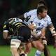 Hold mirror to Montpellier and see a reflection of Springboks in crisis - Irish Times 1 - MontpelYeah Magazine
