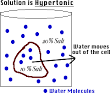 Diffusion