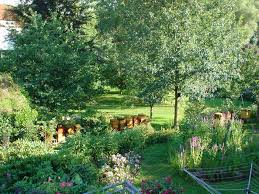 mein Garten von Simon Geib