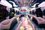 Affordable Party in the City: Party Bus Cheap | NetworkCart.