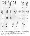 <b>Philadelphia Chromosome</b>