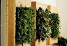 Indoor Living Wall Planter | CubeMe