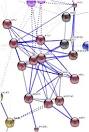 ScienceDirect.com - Journal of Proteomics - The sarcoplasmic fish ...
