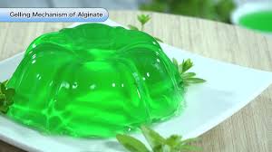 Image result for alginate jelly