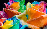 Rainbow Roses - Roses Image (18998696) - Fanpop fanclubs