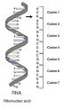 Genetic code