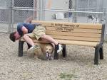 Humane Society of North Iowa » Personalized Benches