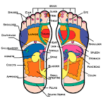 <b>Foot</b> reflexology is based on