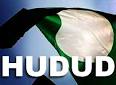 Hudud would be revolutionary, unconstitutional - ALIRAN