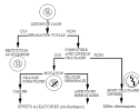 <b>Atteintes Rétrocochléaires</b>; maladies retrocochleaires