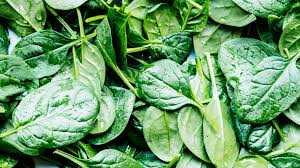 Spinach vegetable