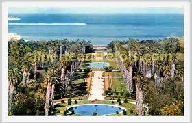 هذه الحديقة حديقة الحامة ببلدنا الجزائر Images?q=tbn:ANd9GcTOLvljjs4CEeOa3Shhyofud5Cbc3QXT6yLEzFPM3Y1YXHYcCUUcL4vb32riA