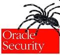 Oracle Releases Highly Critical Security Alert - Apache DoS - Blog ...