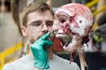 Eric Hart coats the skull with Dragon Skin - DSC_7691