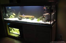 Aquarium von Andrea Linge: Becken 1493