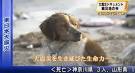 Dog in Japan watches over ailing friend | What's buzzing? - Yahoo!
