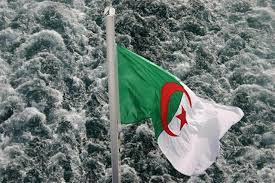 الثورة الجزائرية Images?q=tbn:ANd9GcTYwHXXiXMFtkD0jhwbZQOrkwD0bNw5y21A_oSaopleflcQzK2O