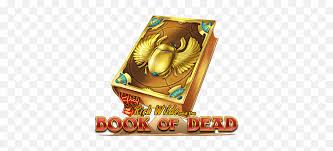 Book of Dead Riversweep game