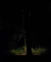 Schlosspark bei Nacht - Bild \u0026amp; Foto von Eva Kamper aus Wald ...