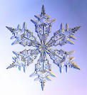 SNOWflake and SNOW Crystal Photographs