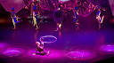 Onboard Entertainment: Cruise Production Shows, Live Music & More ...