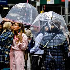 Clear umbrellas fashion trend