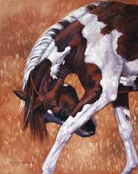 Horses - Die letzte Herde AUFNAHMESTOP - Seite 2 Images?q=tbn:ANd9GcTi7XFsMU5HcttX0HdiXEVdUrd_AX-nV8LRkpSEuP76xqB5GtuT0Q