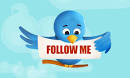 twitter_bird_follow_me.jpg