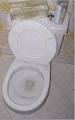 Toilet-related injuries and deaths - Wikipedia, the free encyclopedia