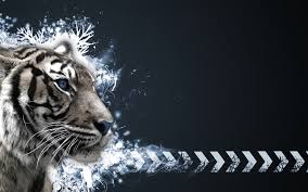 Image result for black and white pictures of tigers