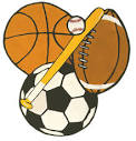 *We provide organized <b>sports</b>
