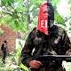 Colombia: Francotirador del ELN asesina a soldado en Norte de ... - PanAm Post