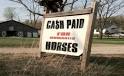 Secretary Vilsack Says Another Option Needed for Unwanted Horses ...
