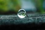 500px / Photo "The Ants Dream!" by Rakesh Rocky