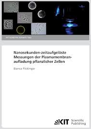 Image result for Nanosekunden