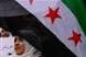 Arab League rebuffs Syrian bid to amend monitor plan