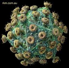 bentuk virus hiv